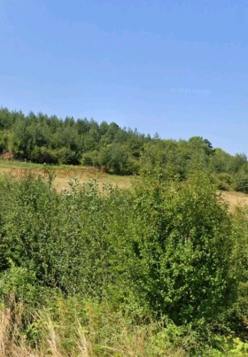 ������� ������ | Imot.bg � ����� ������ 5