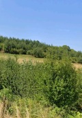 Продава  Парцел област Перник , с. Кладница , 210 кв.м | 97429641 - изображение [5]