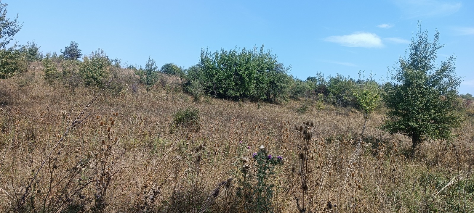 ������� ������ | Imot.bg � ����������� 1