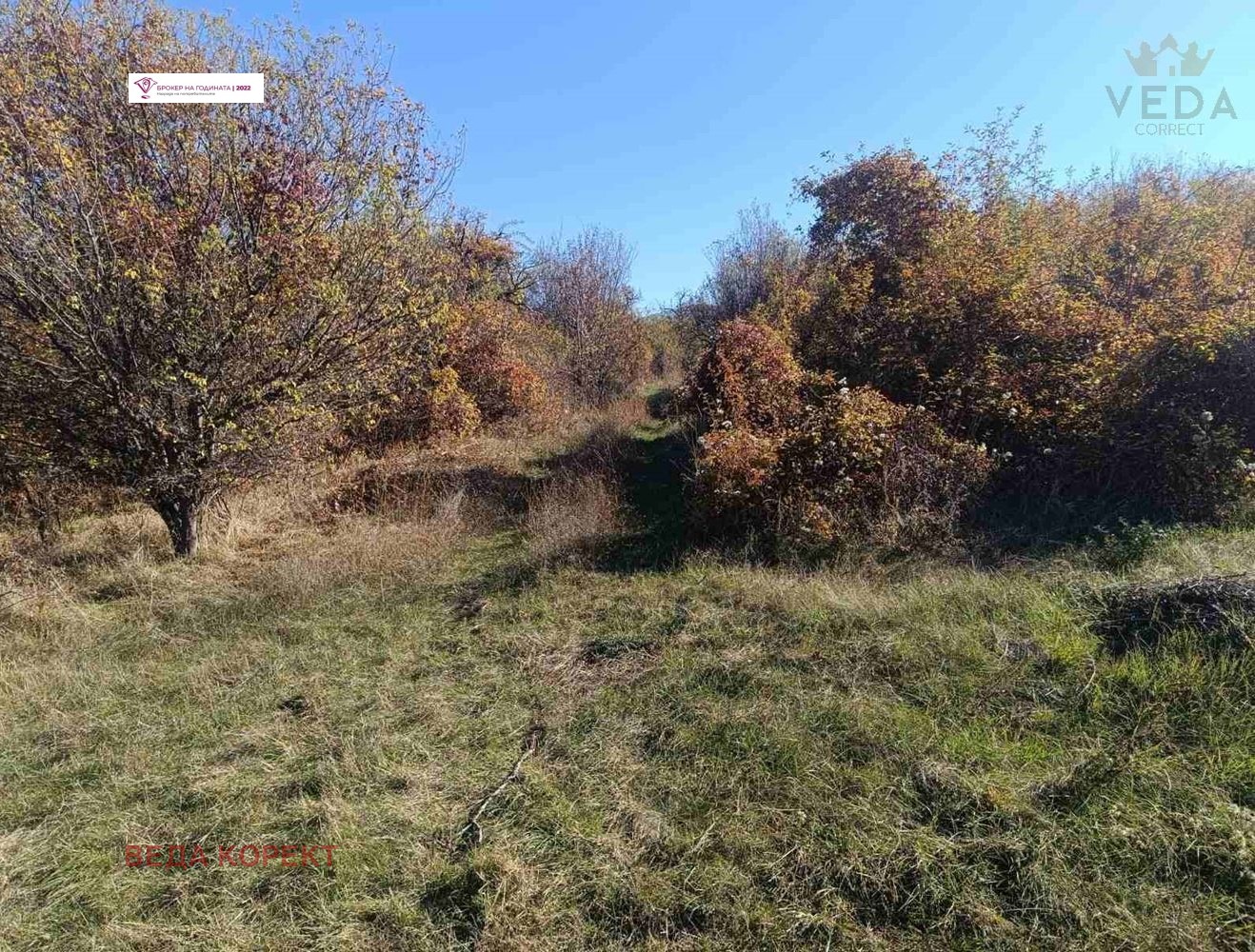 ������� ������ | Imot.bg � ����������� 4