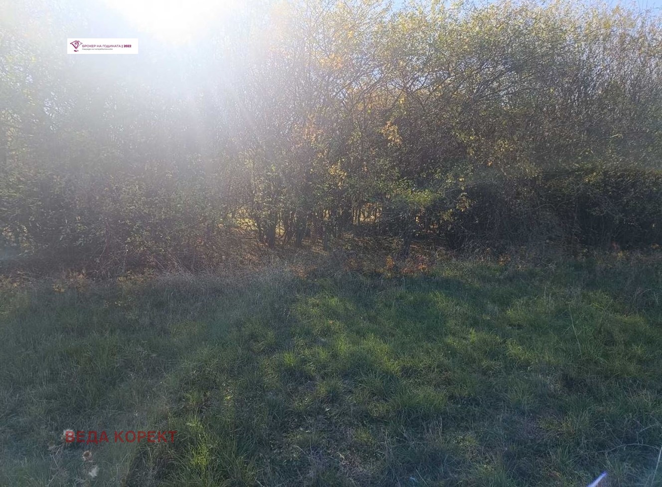 ������� ������ | Imot.bg � ����������� 5