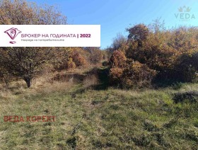 ����� ������� ������,���� �����, �������>