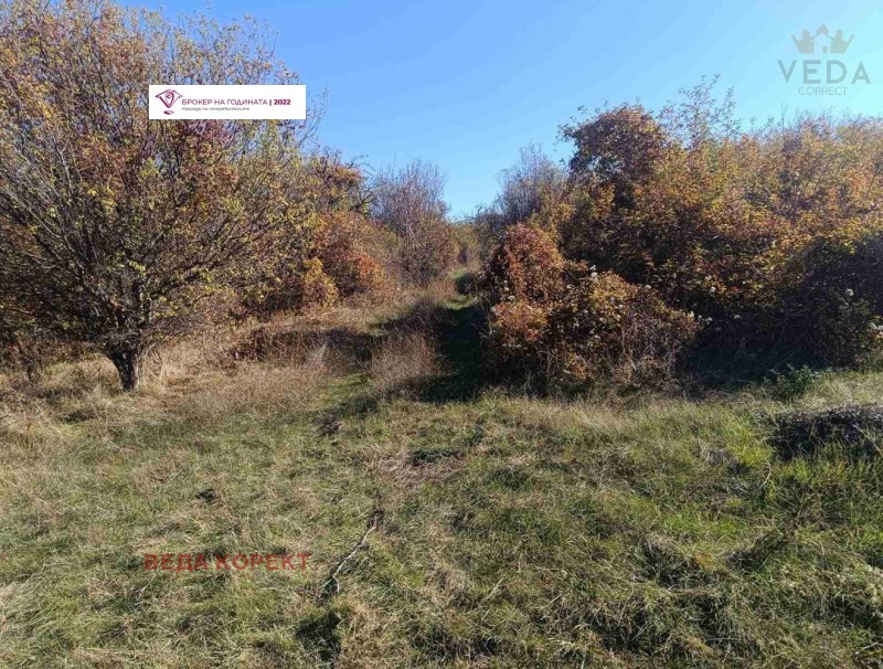 Продава ПАРЦЕЛ, гр. София, Лозенец, снимка 3 - Парцели - 53353449