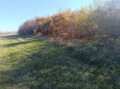 Продава ПАРЦЕЛ, гр. София, Лозенец, снимка 2