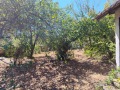 Продава  Къща област София , гр. Етрополе , 80 кв.м | 83296948 - изображение [4]