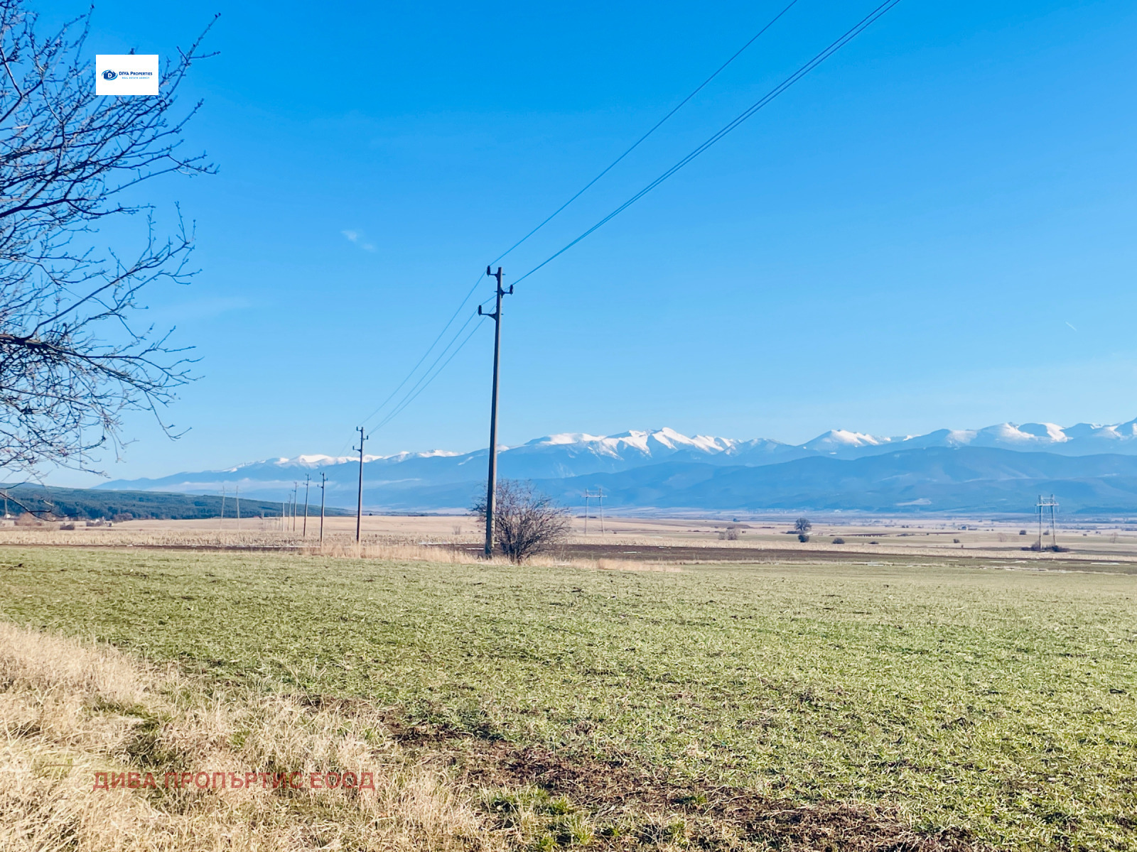 ������� ������ | Imot.bg � ����������� 4