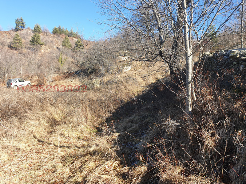 Продава ПАРЦЕЛ, с. Ковачевица, област Благоевград, снимка 4 - Парцели - 52785662