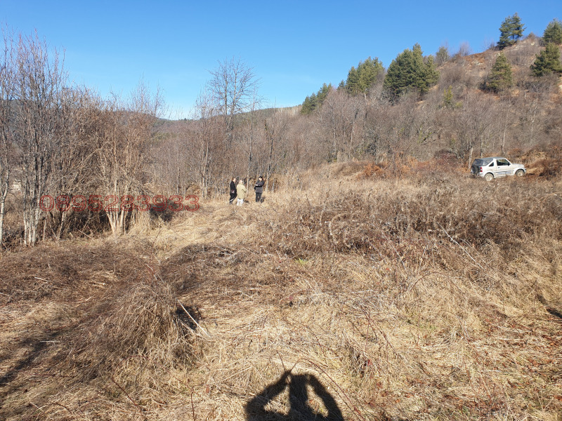 Продава ПАРЦЕЛ, с. Ковачевица, област Благоевград, снимка 3 - Парцели - 52785662