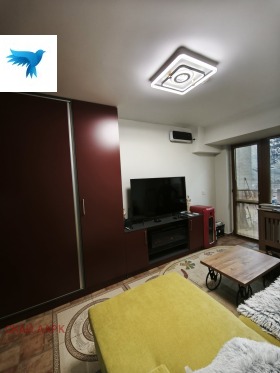 Studio Velingrad, regione Pazardzhik 3