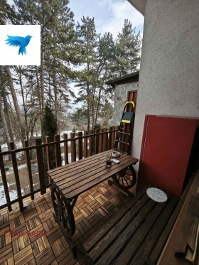 Studio Velingrad, region Pazardzhik 1