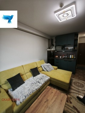 Studio Velingrad, region Pazardzhik 2