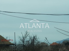 ����� ������� ������,���� �����, ����� ������