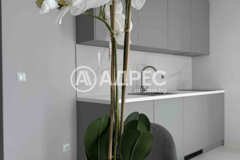 Продава  1-стаен област Бургас , к.к. Слънчев бряг , 97 кв.м | 44766185 - изображение [5]