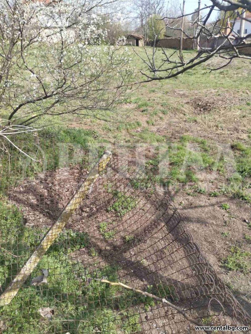 Til salg  Grund region Plovdiv , Choba , 1254 kvm | 69252031 - billede [2]