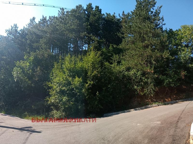 Продава ПАРЦЕЛ, гр. София, Княжево, снимка 3 - Парцели - 55604130