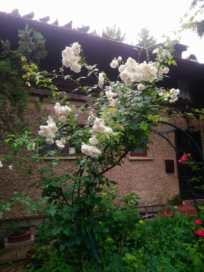 ������� ���� �� ���� | Imot.bg � ����������� 4