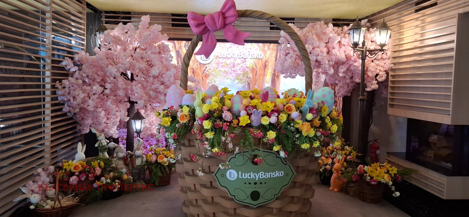 ������� 1-����� | Imot.bg � ����������� 13