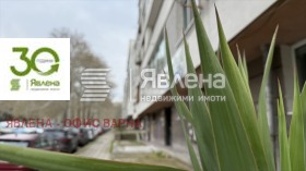 Studie Chajka, Varna