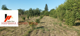 Продажба на имоти в с. Методиево, област Добрич - изображение 9 