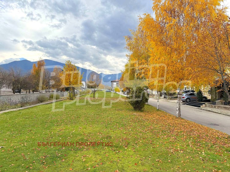 Продава  1-стаен област Благоевград , гр. Банско , 41 кв.м | 86945844 - изображение [15]