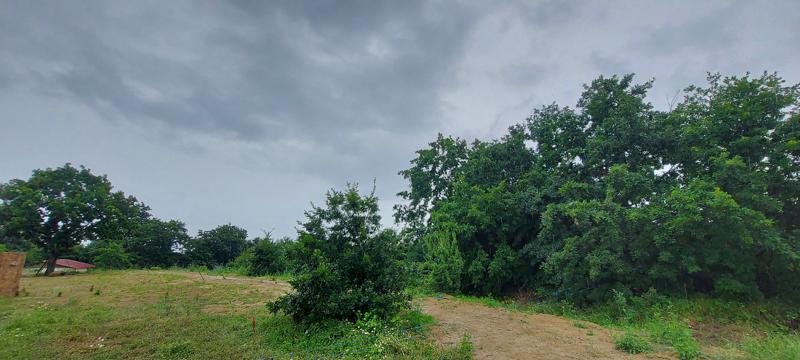 À vendre  Parcelle région Bourgas , Obzor , 4799 m² | 29510328 - image [5]