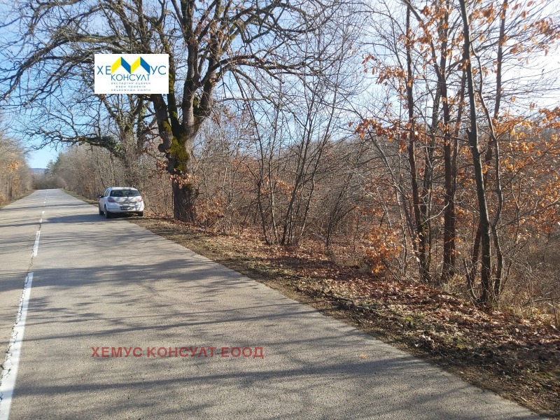 For Sale  Land region Lovech , Patreshko , 6.052 dka | 33531188 - image [3]