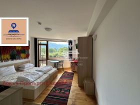 Studio Bansko, region Blagoevgrad 1