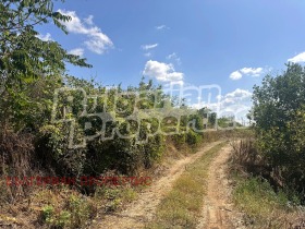 ������� ������ | Imot.bg � ����� ������ 9