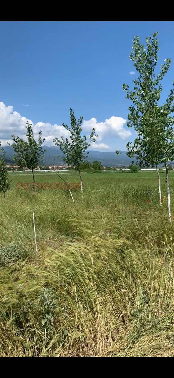 Продава ЗЕМЕДЕЛСКА ЗЕМЯ, с. Микрево, област Благоевград, снимка 3 - Земеделска земя - 53098896