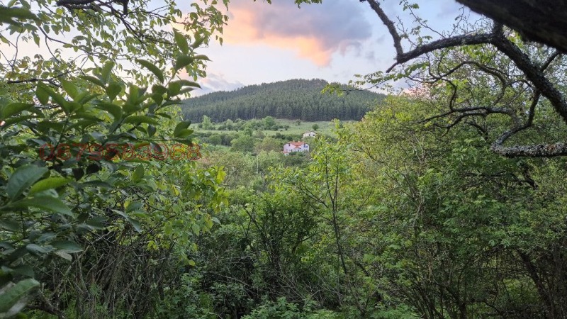 Продава КЪЩА, с. Бабица, област Перник, снимка 4 - Къщи - 52779082