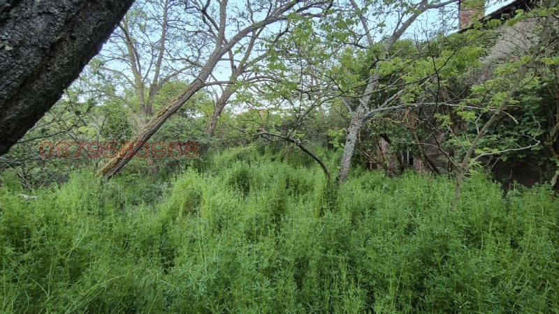 Продава КЪЩА, с. Бабица, област Перник, снимка 8 - Къщи - 52779082