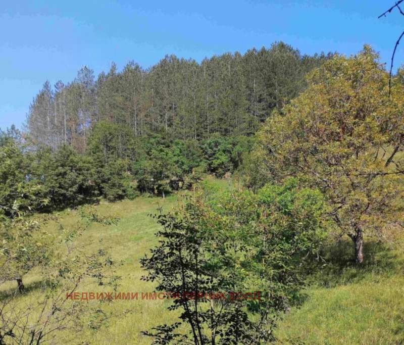 Продава  Къща област Перник , гр. Трън , 125 кв.м | 63780423 - изображение [9]