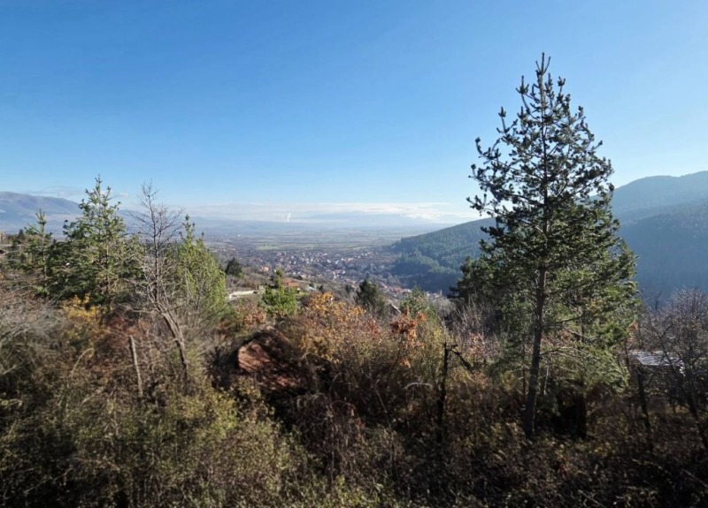 Продава КЪЩА, гр. Кюстендил, в.з. Юг, снимка 5 - Къщи - 52638940