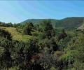 Продава КЪЩА, област Перник, гр. Трън • 130000 лв. • 89845032 — Holmes.bg