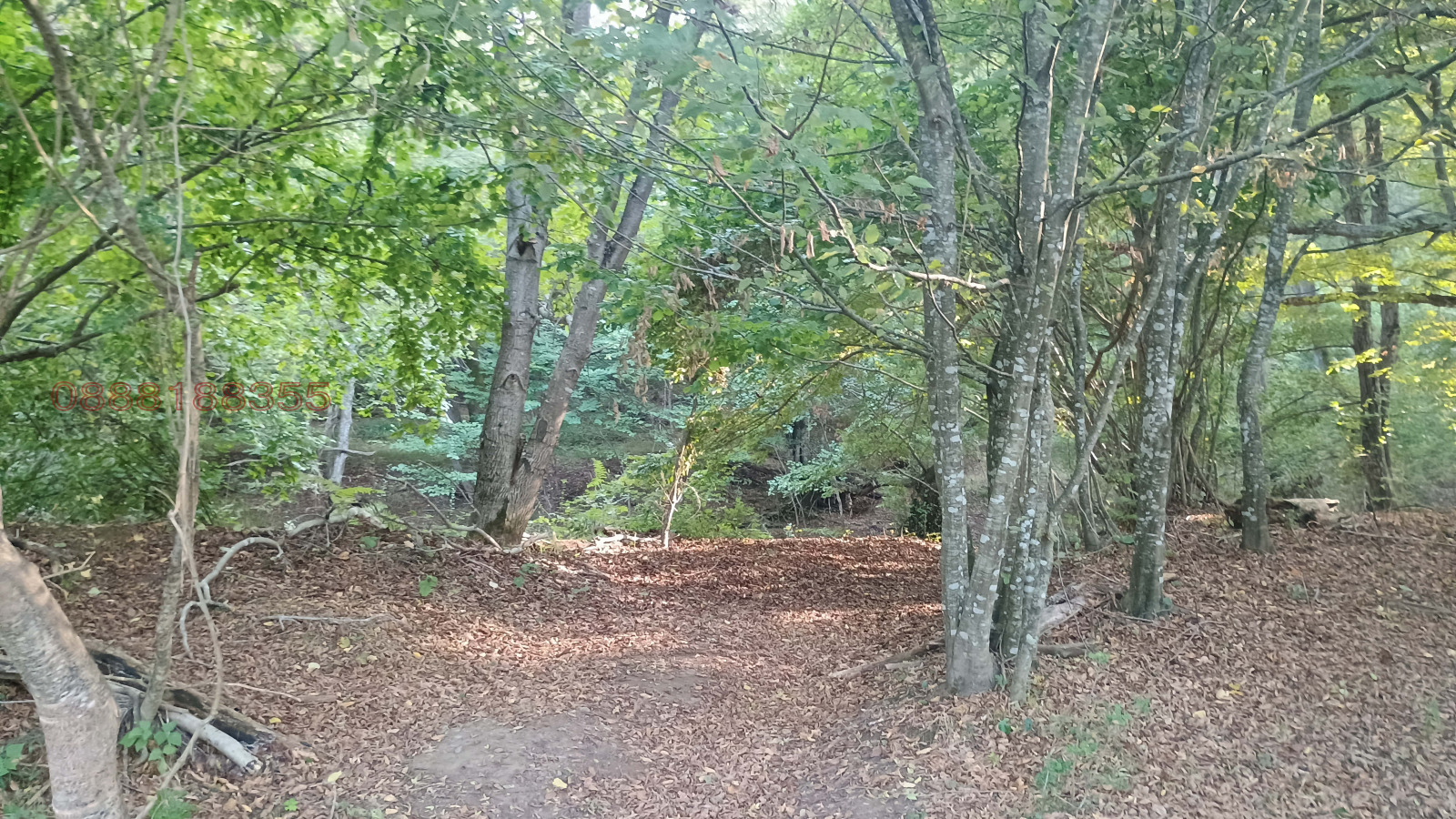 ������� ������ | Imot.bg � ����������� 5