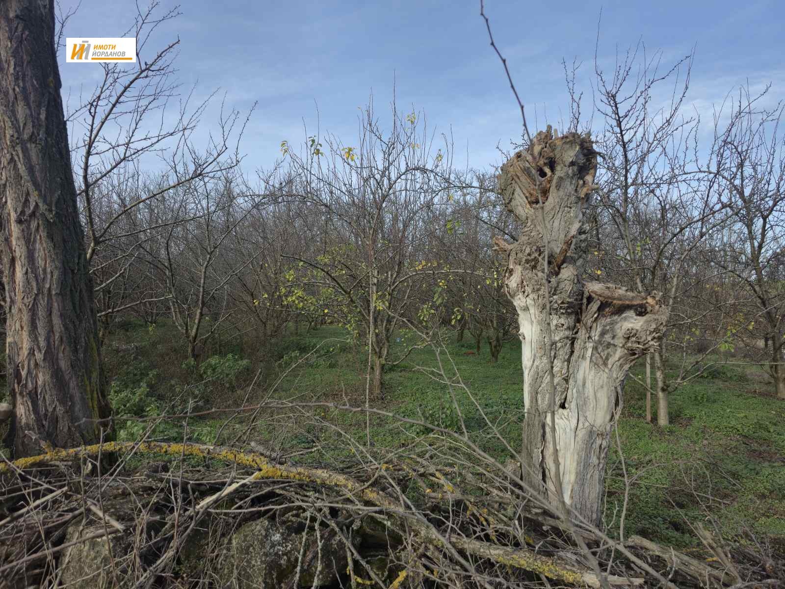 ������� ������ | Imot.bg � ����������� 3