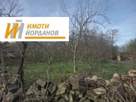 ����� ������� ������,�. ����������, ������ ������ �������