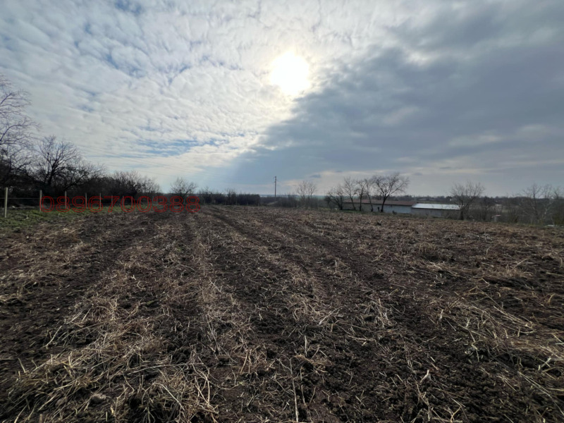 Продава КЪЩА, с. Челопечене, област Добрич, снимка 14 - Къщи - 52986249