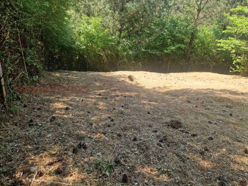 Til salgs  Villa region Sofia , Svoge , 120 kvm | 77159360 - bilde [5]