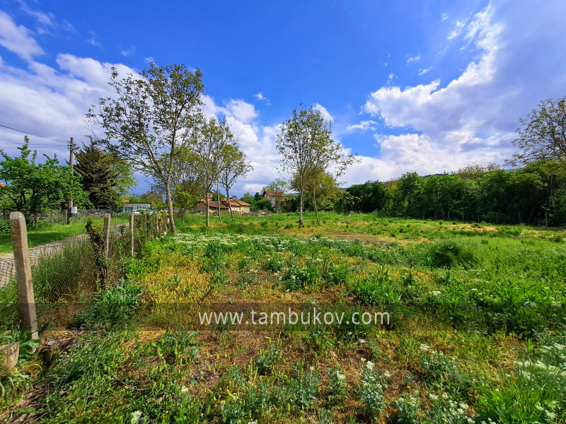 Till salu  Komplott region Pernik , Tjukovec , 2094 kvm | 31404592 - bild [4]