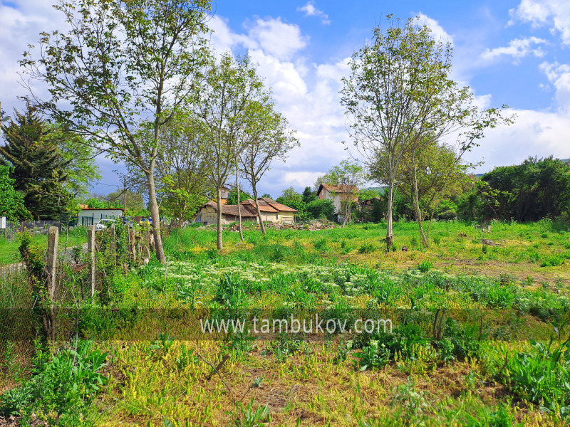 Till salu  Komplott region Pernik , Tjukovec , 2094 kvm | 31404592 - bild [6]