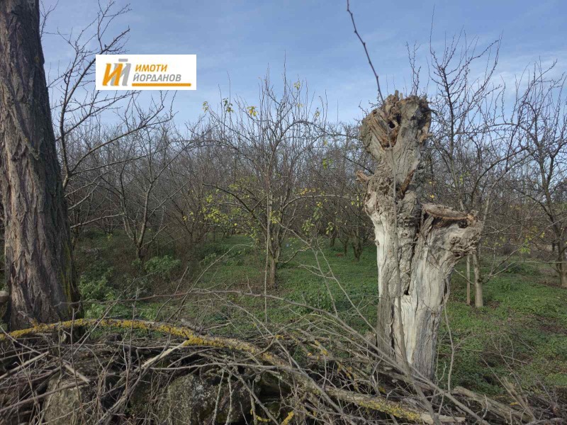 Продава ПАРЦЕЛ, с. Обединение, област Велико Търново, снимка 3 - Парцели - 52722021