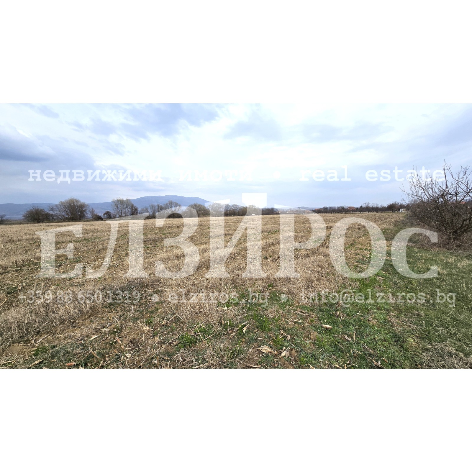 Продава ЗЕМЕДЕЛСКА ЗЕМЯ, с. Багренци, област Кюстендил, снимка 2 - Земеделска земя - 54189192