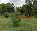 Продава ПАРЦЕЛ, гр. София, Бенковски, снимка 4