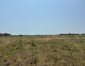 Продава ПАРЦЕЛ, с. Божурец, област Добрич, снимка 2