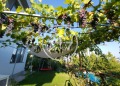 Продава КЪЩА, град Варна, м-т Горна Трака • 593000 € • 45931107 — Holmes.bg