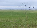 Продава ПАРЦЕЛ, гр. София, с. Казичене, снимка 2