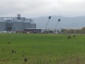 Продава ПАРЦЕЛ, гр. София, с. Казичене, снимка 1
