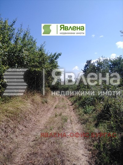 Продава ПАРЦЕЛ, с. Българи, област Бургас, снимка 6 - Парцели - 47611615