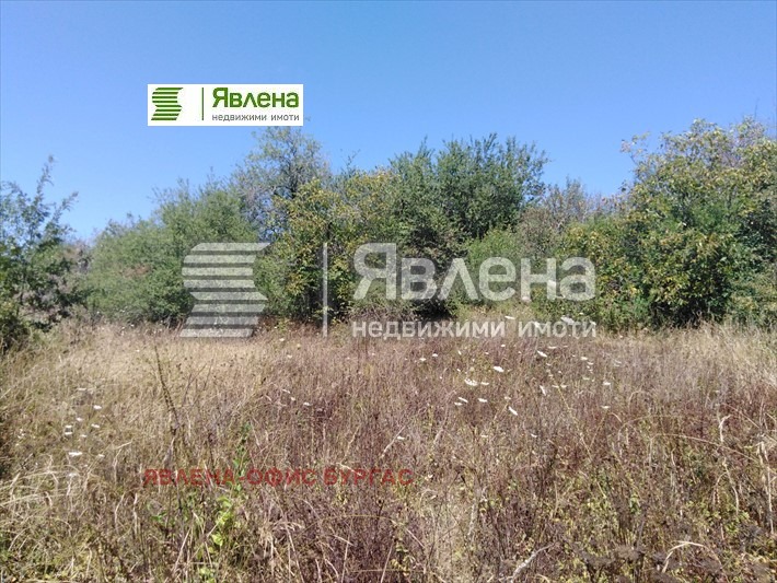 Продава  Парцел област Бургас , с. Българи , 825 кв.м | 58545608 - изображение [4]